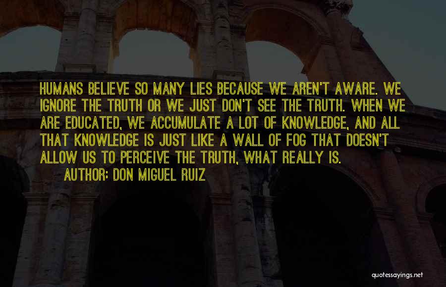 Don Miguel Ruiz Quotes 1177817