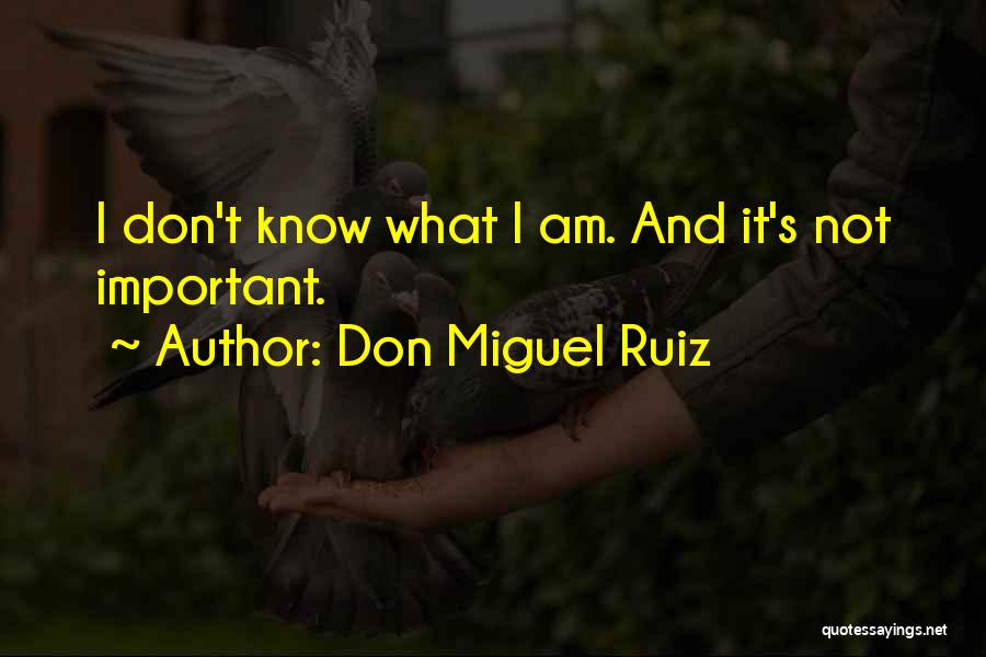 Don Miguel Ruiz Quotes 548587