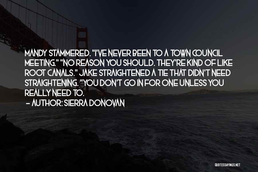 Don Need No One Quotes By Sierra Donovan