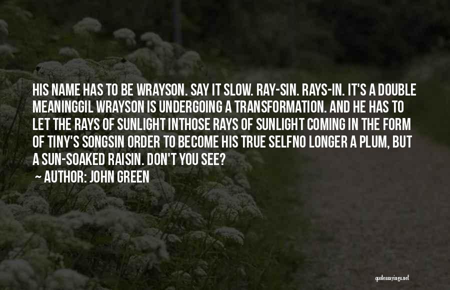 Don Plum Quotes By John Green