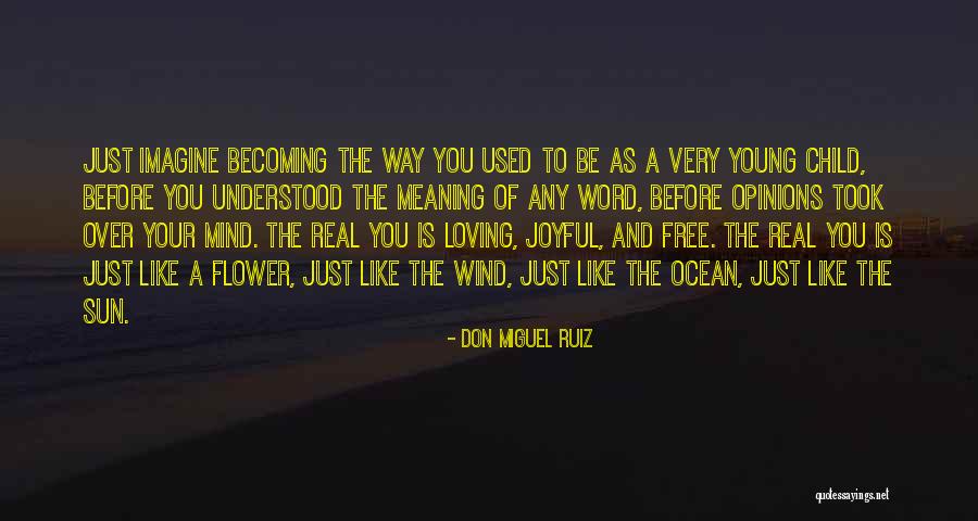 Don Ruiz Miguel Quotes By Don Miguel Ruiz Don Ruiz Miguel Quotes By Don Miguel Ruiz