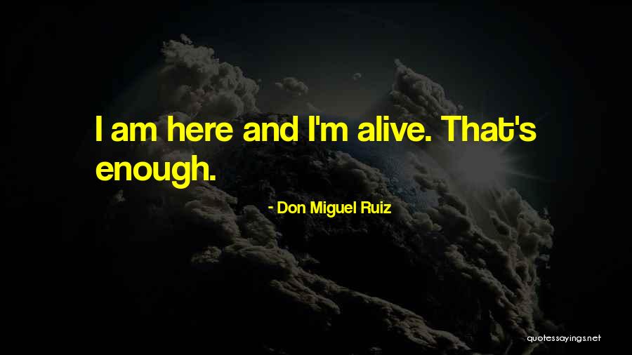 Don Ruiz Miguel Quotes By Don Miguel Ruiz Don Ruiz Miguel Quotes By Don Miguel Ruiz