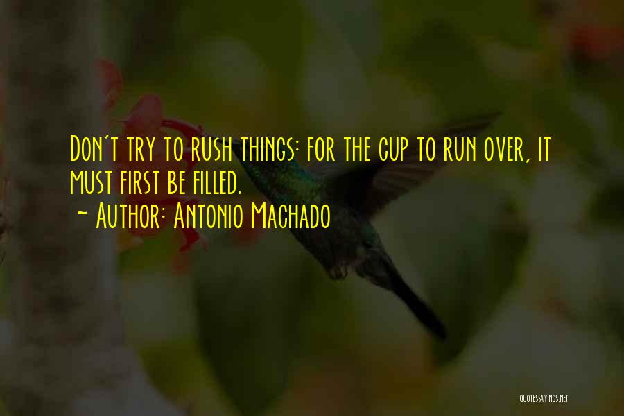 Don Rush Things Quotes By Antonio Machado