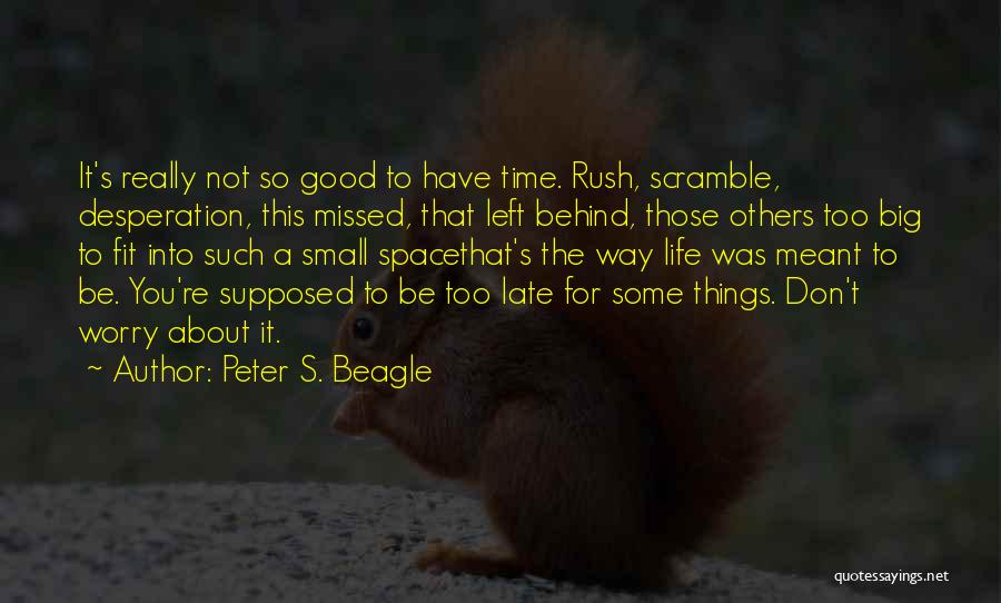 Don Rush Things Quotes By Peter S. Beagle