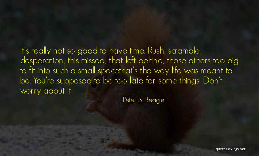 Don Rush Things Quotes By Peter S. Beagle