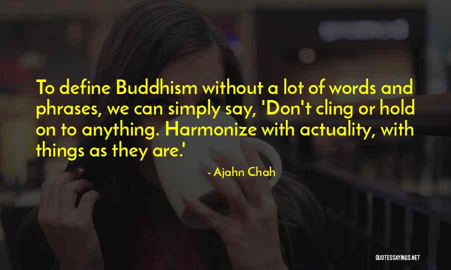 Don Say Anything Quotes By Ajahn Chah Don Say Anything Quotes By Ajahn Chah