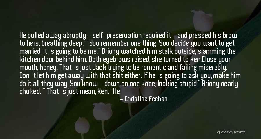 Don Stalk Quotes By Christine Feehan