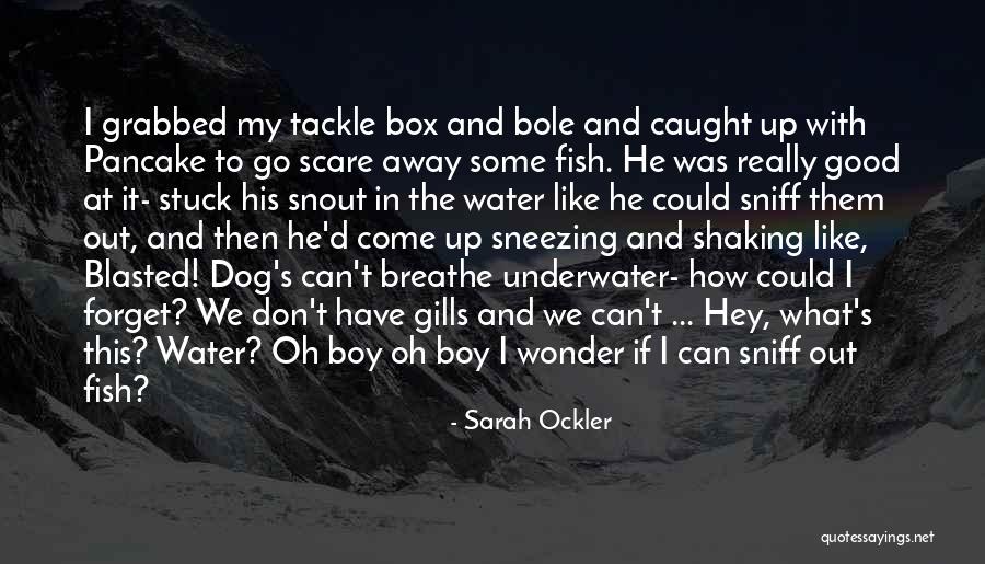 Don T Forget To Breathe Quotes By Sarah Ockler Don T Forget To Breathe Quotes By Sarah Ockler