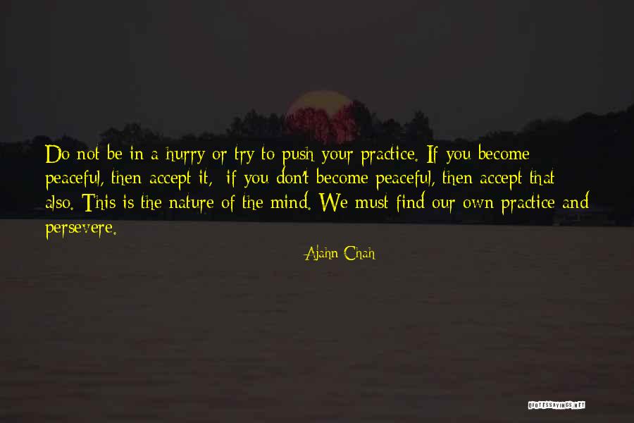 Don T Hurry Quotes By Ajahn Chah Don T Hurry Quotes By Ajahn Chah