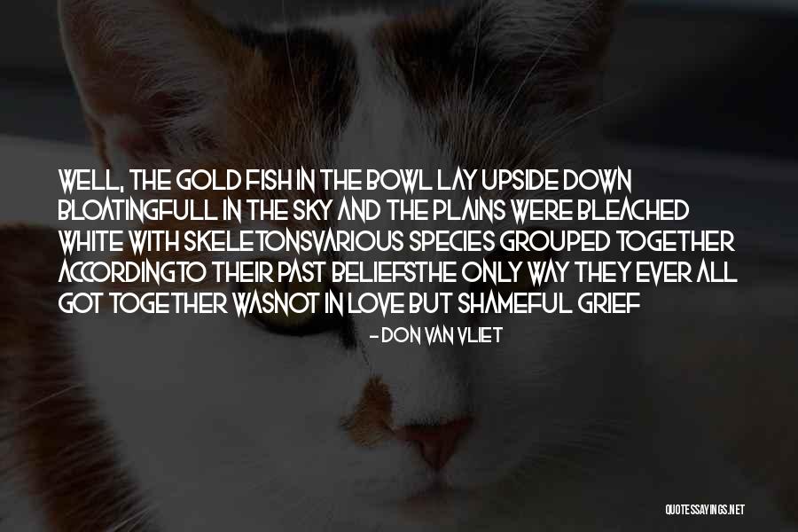 Don Van Vliet Quotes 1949876 Don Van Vliet Quotes 1949876
