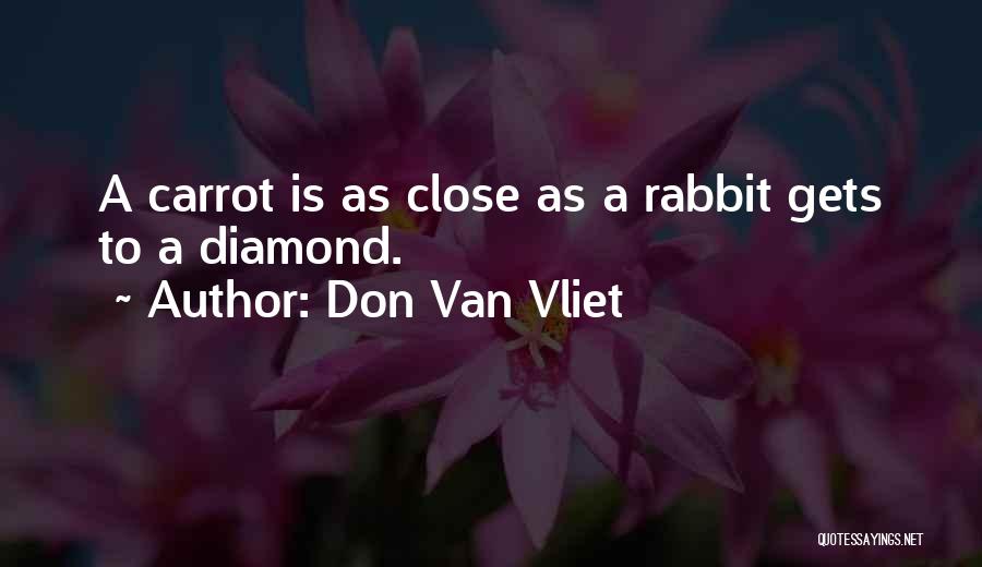 Don Van Vliet Quotes 677278