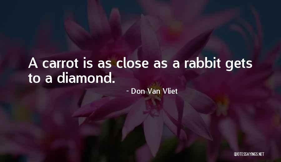 Don Van Vliet Quotes 677278 Don Van Vliet Quotes 677278