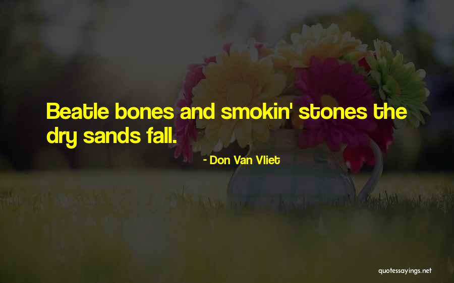 Don Van Vliet Quotes 979385