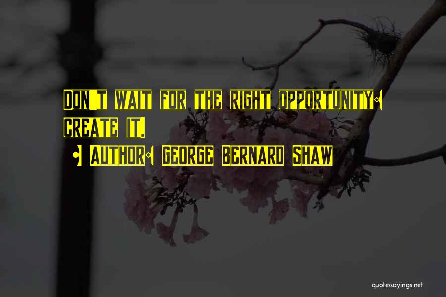 Don Wait For Opportunity Quotes By George Bernard Shaw