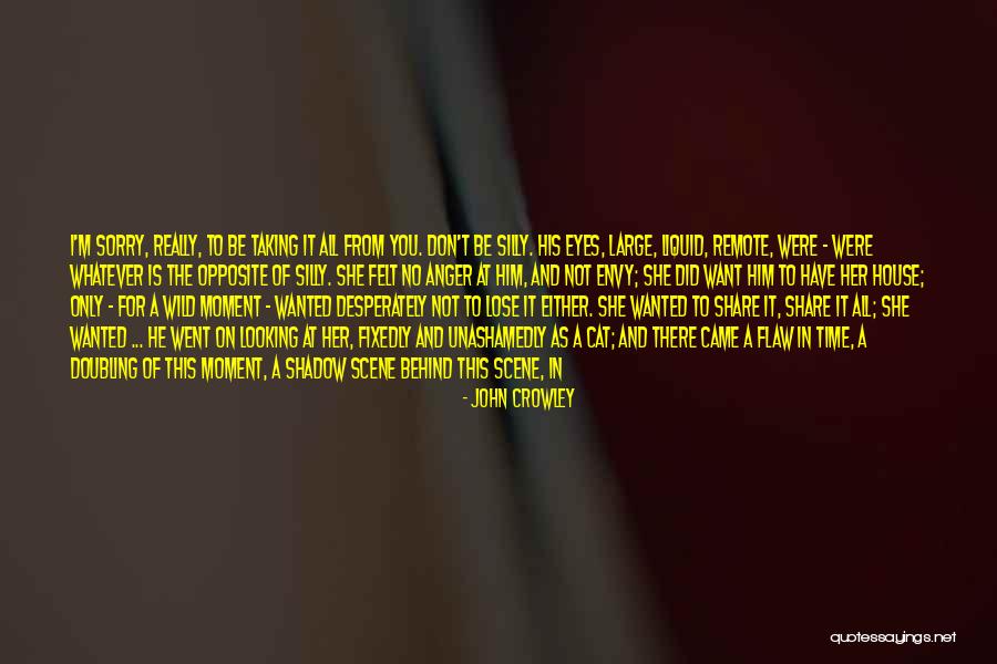 Don Want To Lose You Quotes By John Crowley