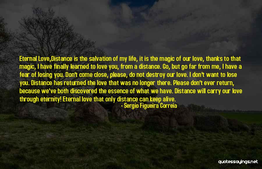 Don Want To Lose You Quotes By Sergio Figueira Correia