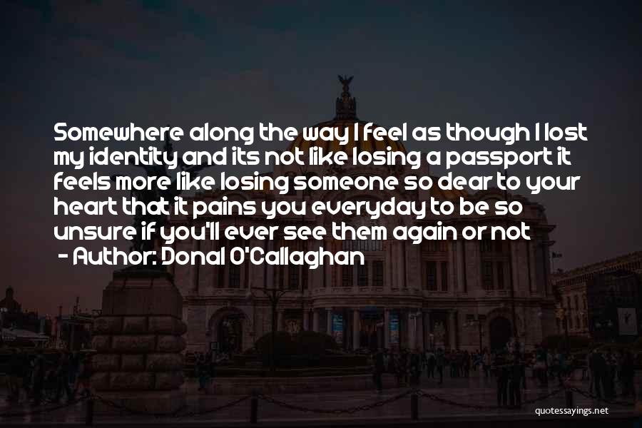 Donal O'Callaghan Quotes 704242