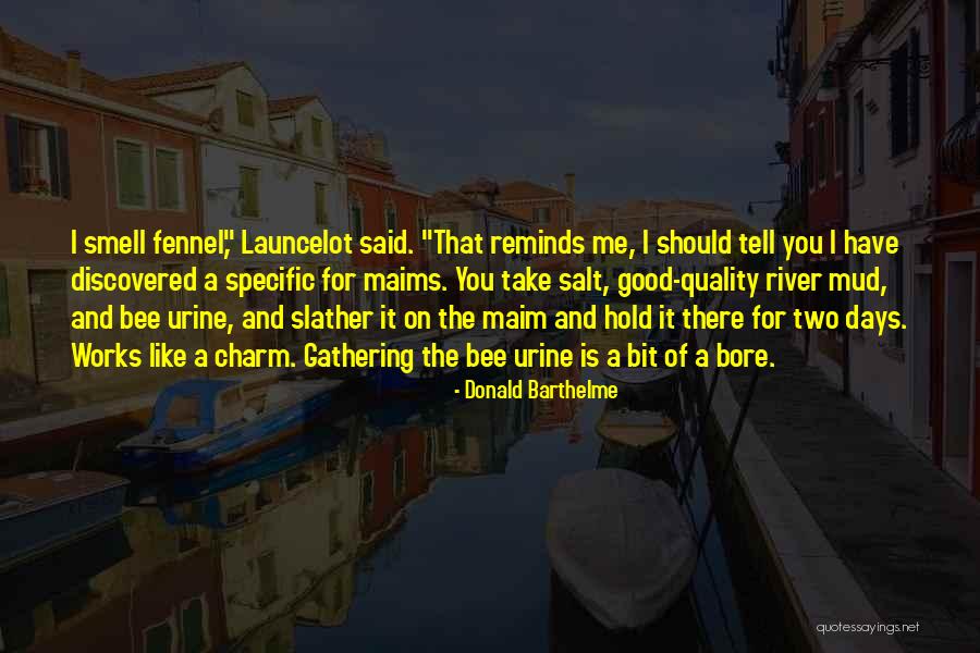 Donald Barthelme Quotes 1169753