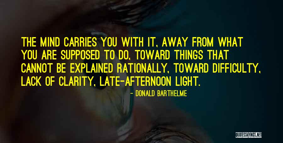 Donald Barthelme Quotes 118553