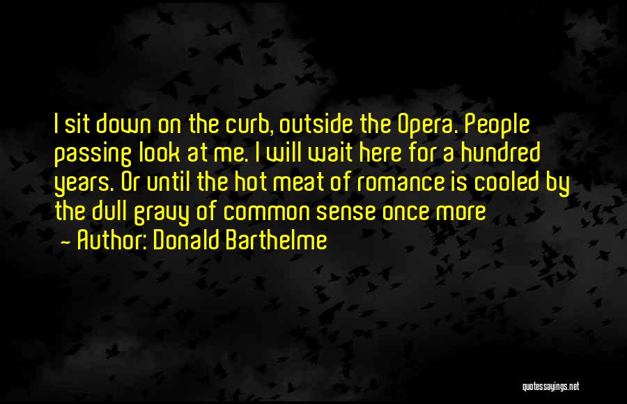 Donald Barthelme Quotes 1412801