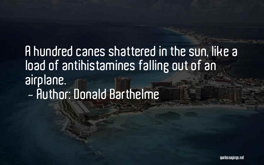 Donald Barthelme Quotes 1484446