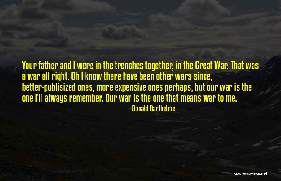 Donald Barthelme Quotes 1618263