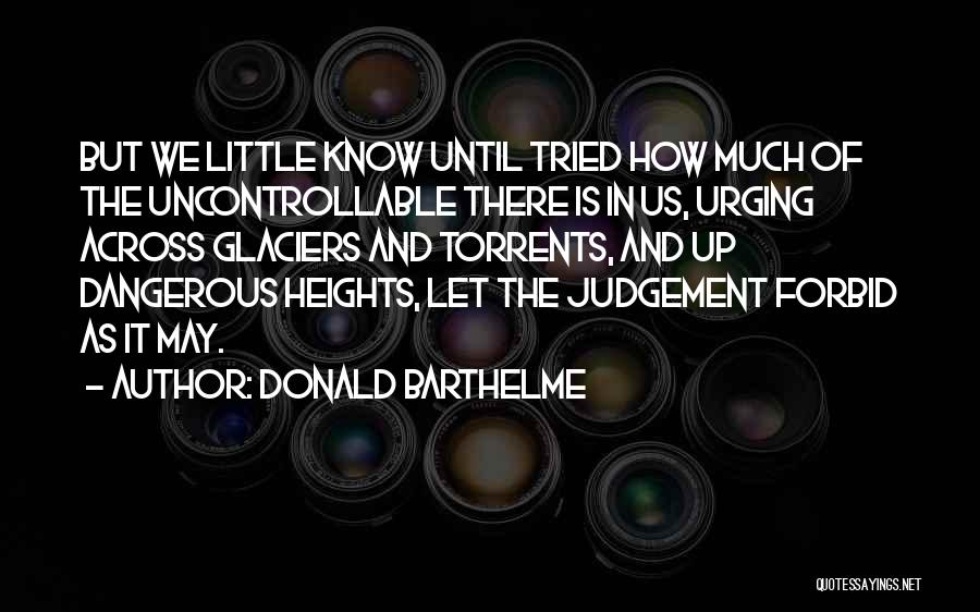 Donald Barthelme Quotes 1827722