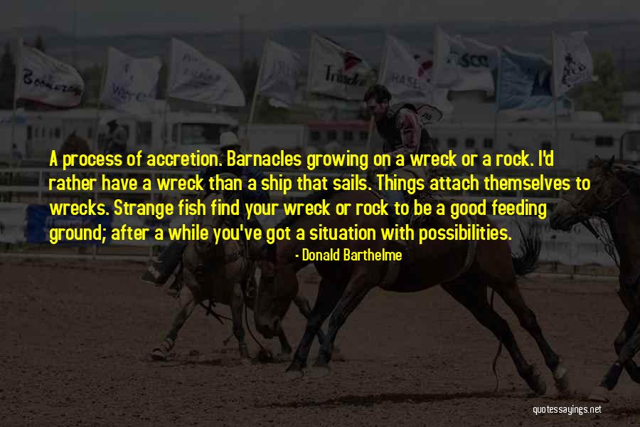 Donald Barthelme Quotes 1991017