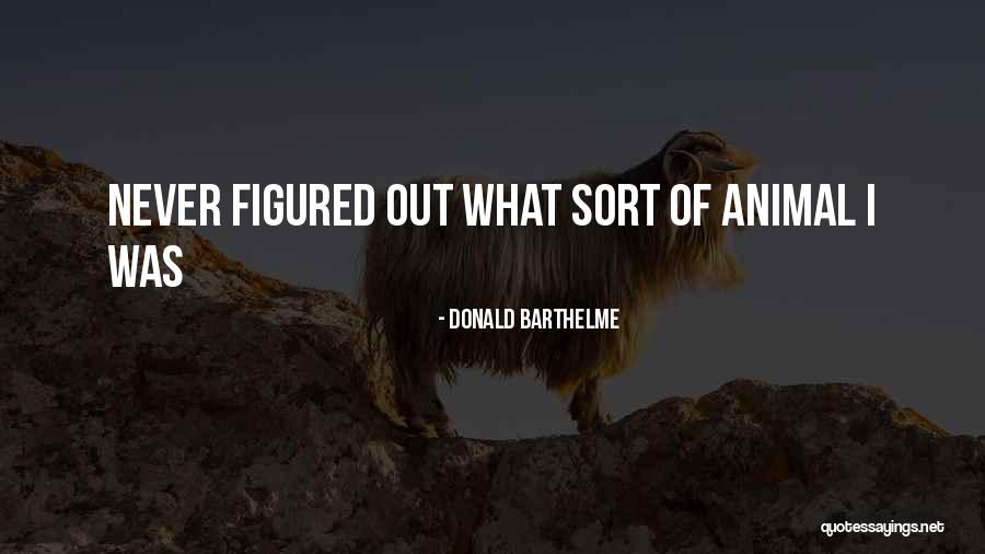 Donald Barthelme Quotes 378074 Donald Barthelme Quotes 378074