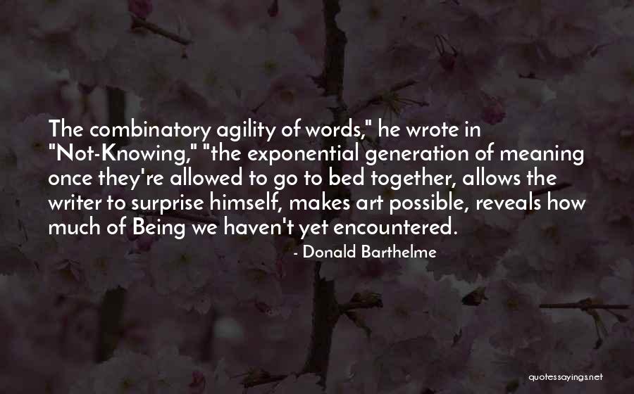 Donald Barthelme Quotes 380452