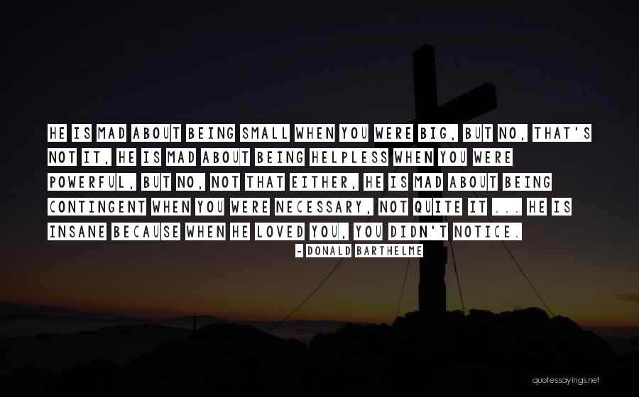 Donald Barthelme Quotes 440756 Donald Barthelme Quotes 440756
