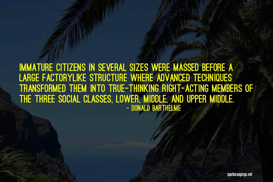 Donald Barthelme Quotes 724351 Donald Barthelme Quotes 724351