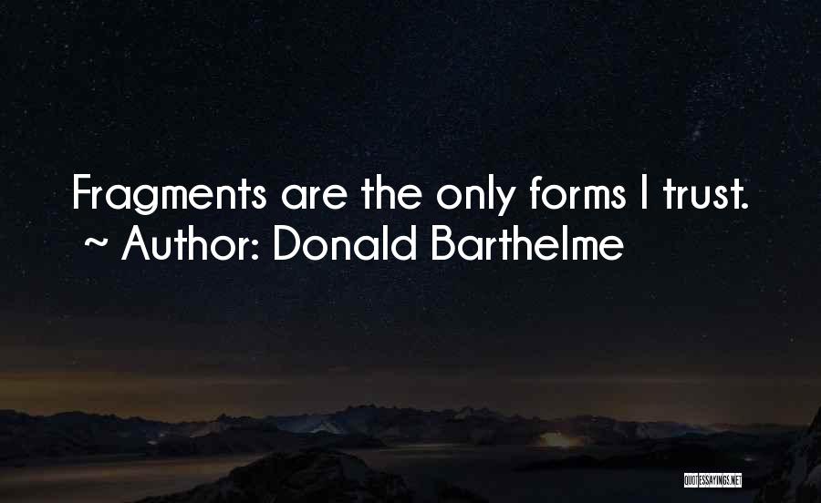 Donald Barthelme Quotes 855182