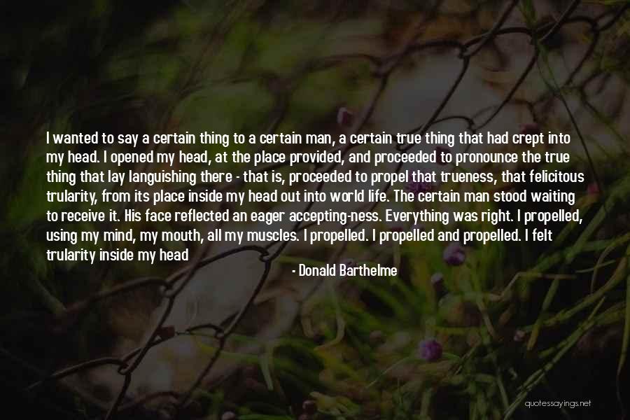 Donald Barthelme Quotes 930636