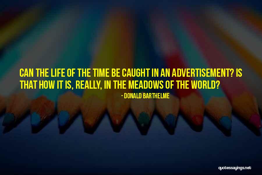 Donald Barthelme Quotes 966629 Donald Barthelme Quotes 966629