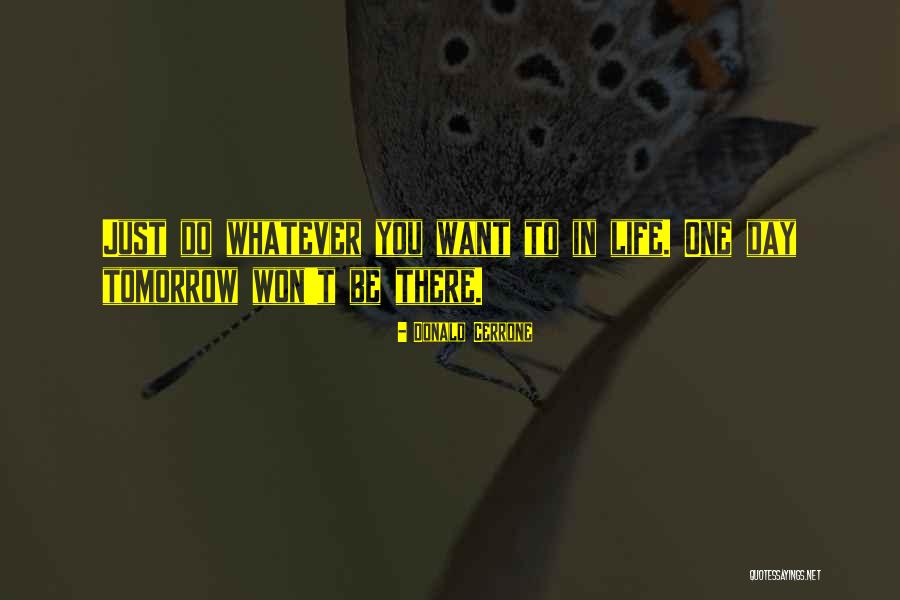 Donald Cerrone Quotes 420679