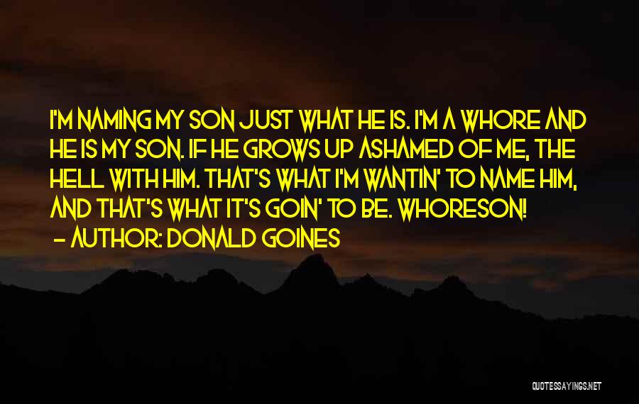 Donald Goines Whoreson Quotes By Donald Goines