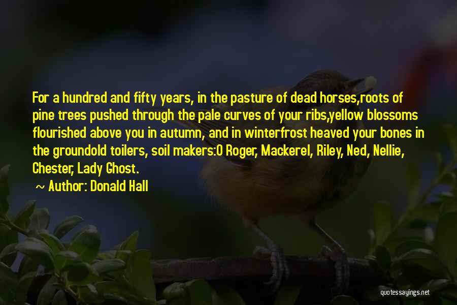 Donald Hall Quotes 991101