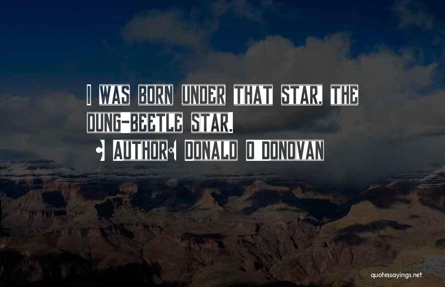 Donald O'Donovan Quotes 822953