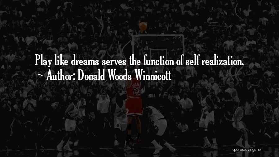 Donald Woods Winnicott Quotes 1696882