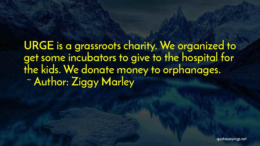 Donate Money Quotes By Ziggy Marley