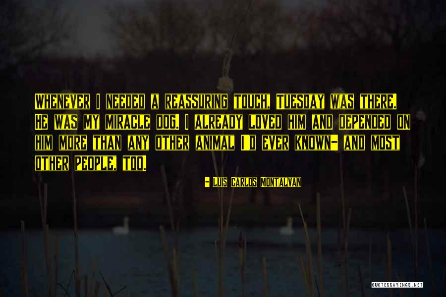 Doncella Suicide Quotes By Luis Carlos Montalvan Doncella Suicide Quotes By Luis Carlos Montalvan
