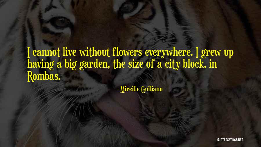 Donchess Ratings Quotes By Mireille Guiliano Donchess Ratings Quotes By Mireille Guiliano