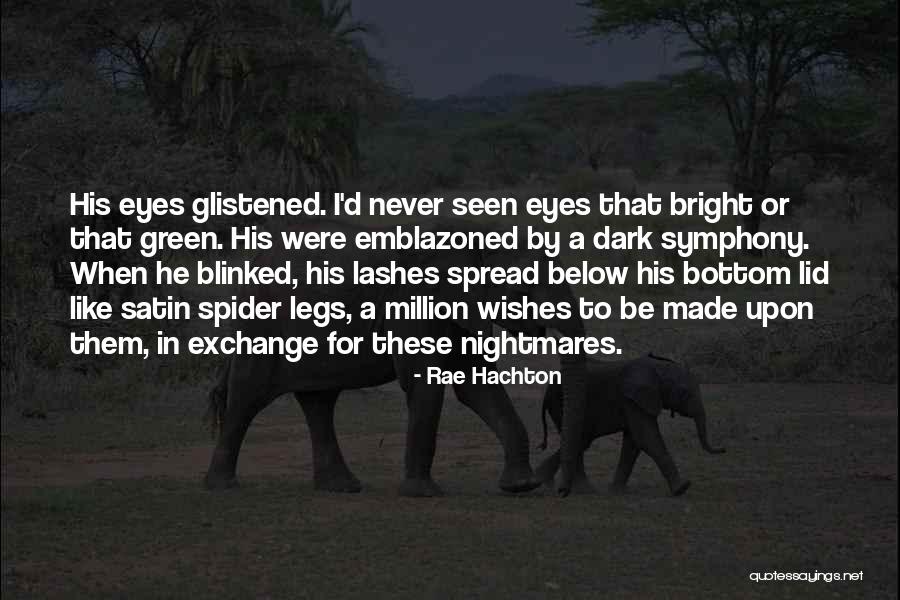 Donde Voto Quotes By Rae Hachton Donde Voto Quotes By Rae Hachton