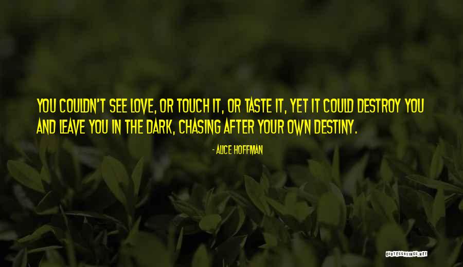 Done Chasing Love Quotes By Alice Hoffman