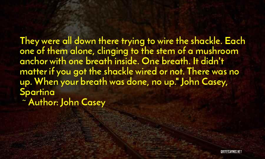 Done With Trying Quotes By John Casey