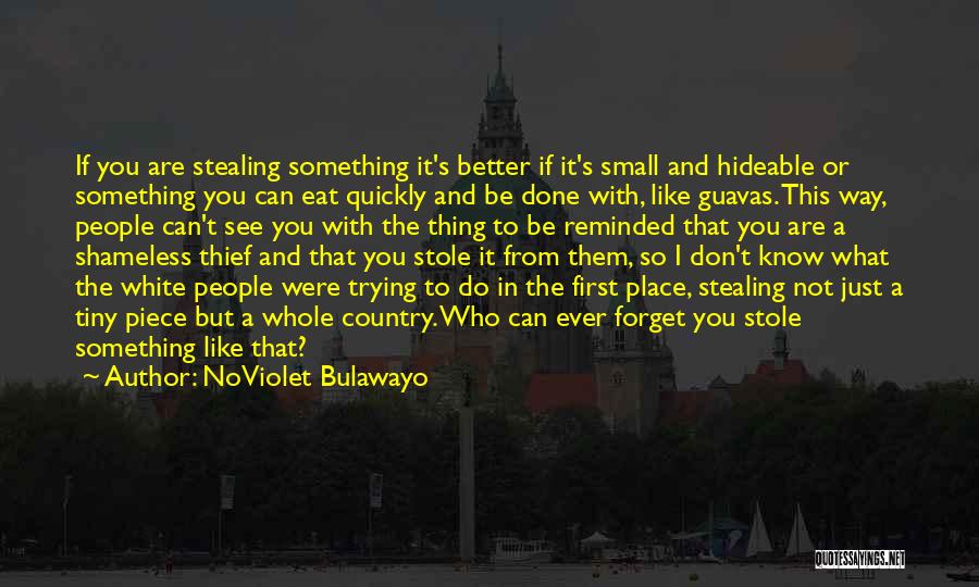 Done With Trying Quotes By NoViolet Bulawayo