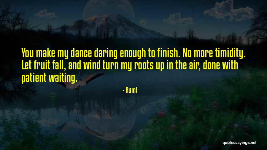 Done With Waiting Quotes By Rumi