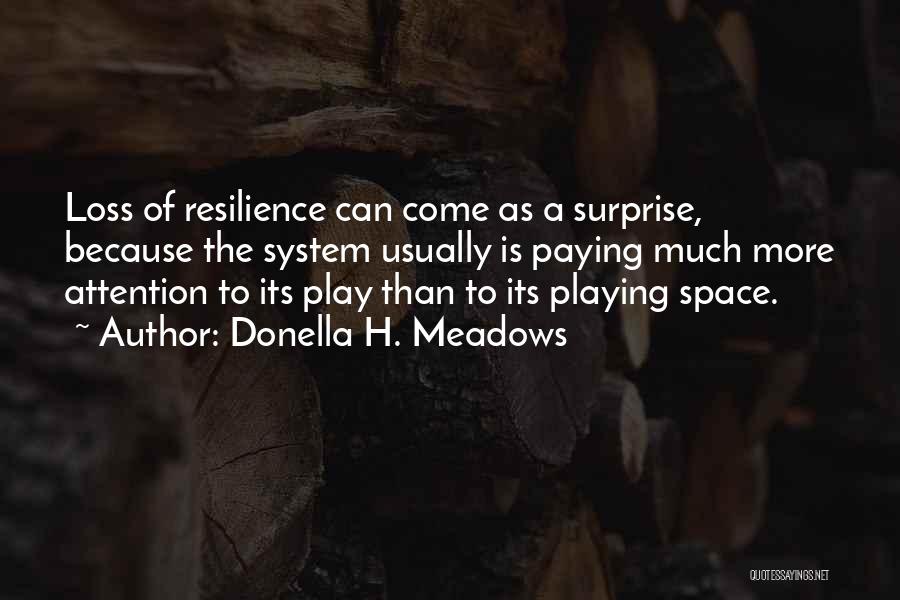 Donella H. Meadows Quotes 1541098