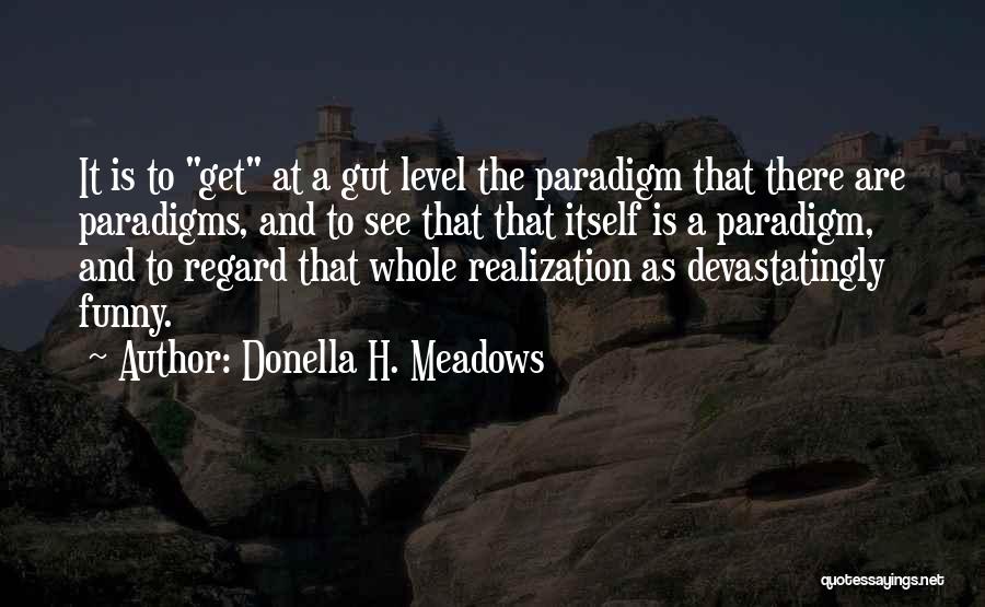 Donella H. Meadows Quotes 166368